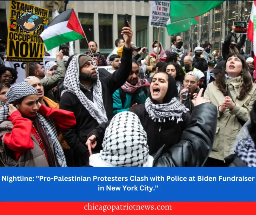 Pro-palestinians rally in USA