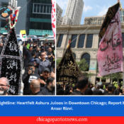 Nightline: Heartfelt Ashura Juloos in Downtown Chicago; Report by Ansar Rizvi.